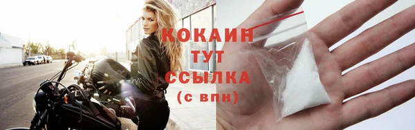 тгк Лиски