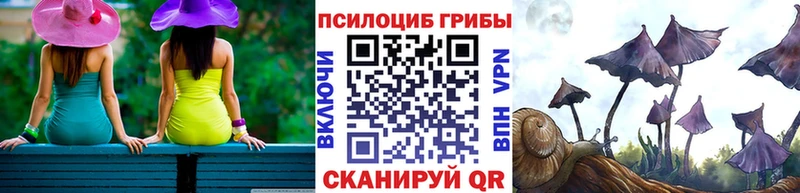 сайты даркнета какой сайт  Николаевск  Галлюциногенные грибы мухоморы  как найти закладки 